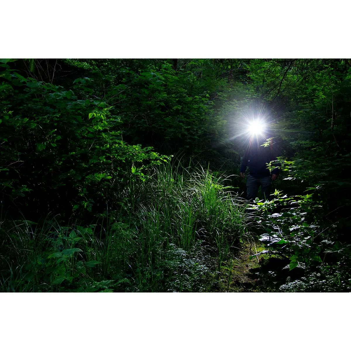 Coast LED Rechargeable Headlamp - FL13R