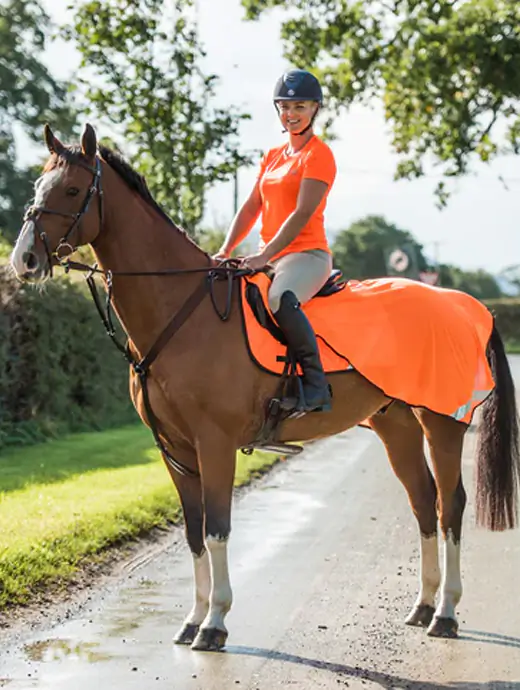 Dark Horse Airtex Mesh High Visibility Exercise Sheet - Orange