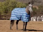 Kensington Protective Products Plaid Cotton Day Sheet